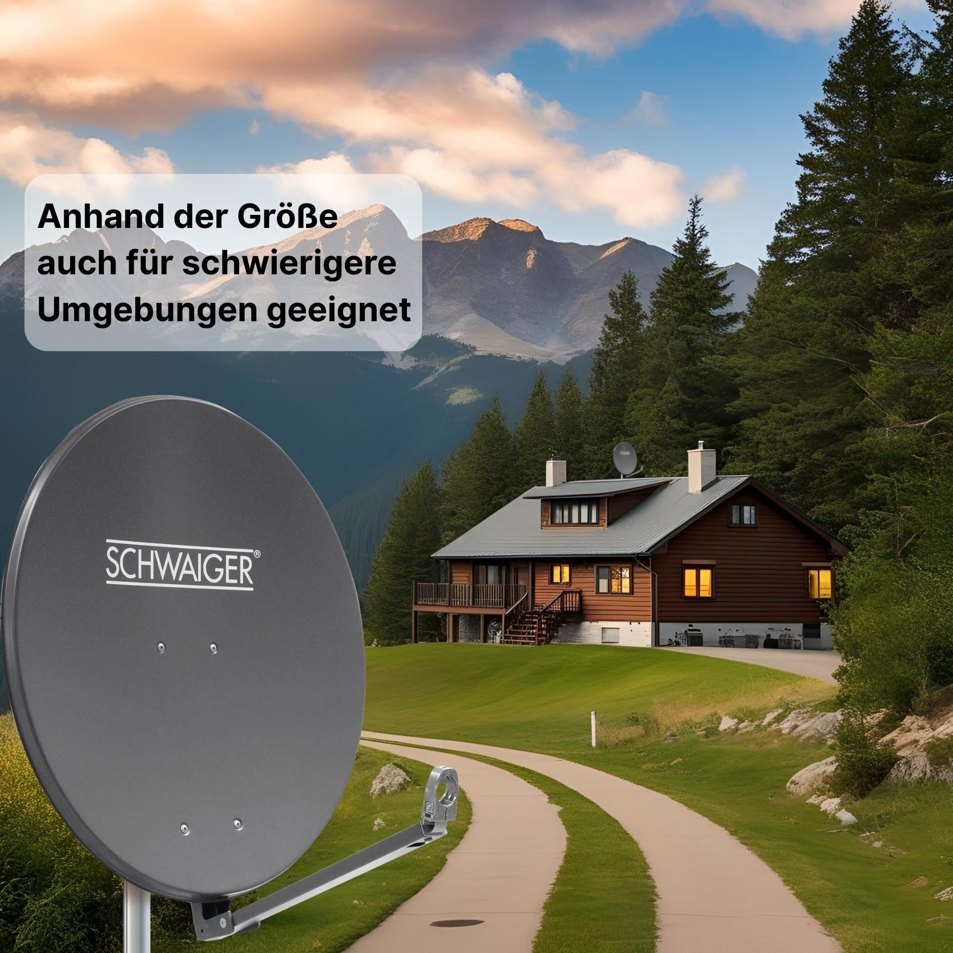 SCHWAIGER 258 Antena Sat de Aluminio Offset LNB Brazo Soporte mástil Sistema 88 x 88 cm Antracita