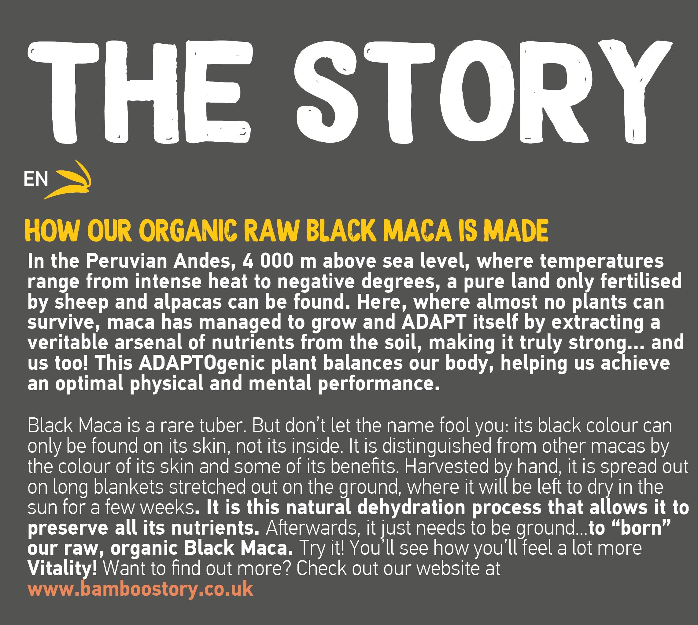BAMBOO STORY | Maca NOIRE | Poudre | 100% Perou | Crue | Bio | Pure | 900g