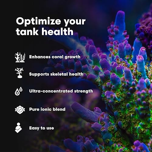Miniatura 4 de Brightwell Aquatics Strontion - Suplemento de estroncio iónico de alta resistencia para acuarios de arrecifes que apoya el crecimiento esquelético