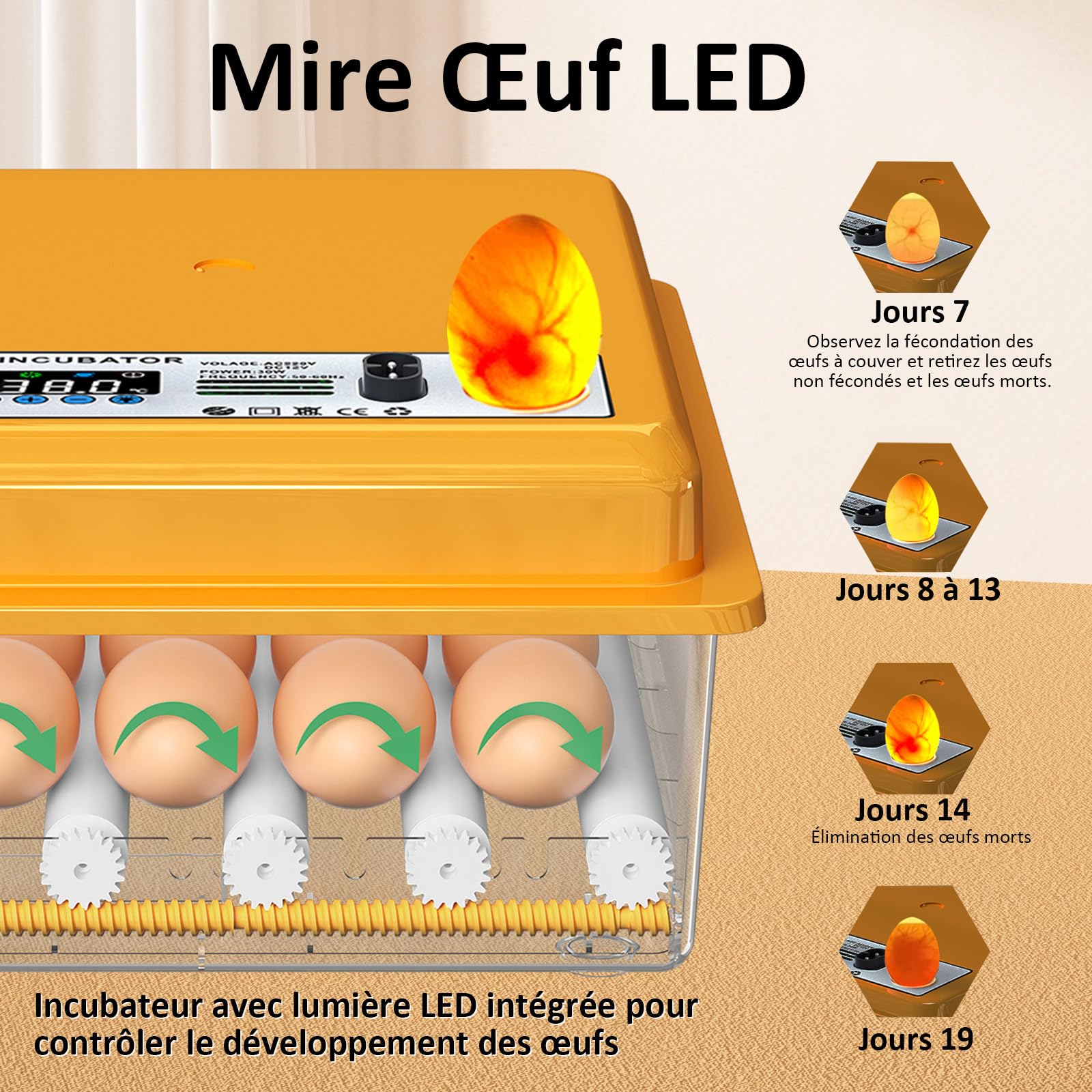 Couveuse Oeuf Automatique avec Contrôle de Température Retournement Automatique pour 16 Oeufs, Incubateur Oeuf rouleaux réglables et ajout automatique d'eau, Couveuse Mire Oeufs Intégré