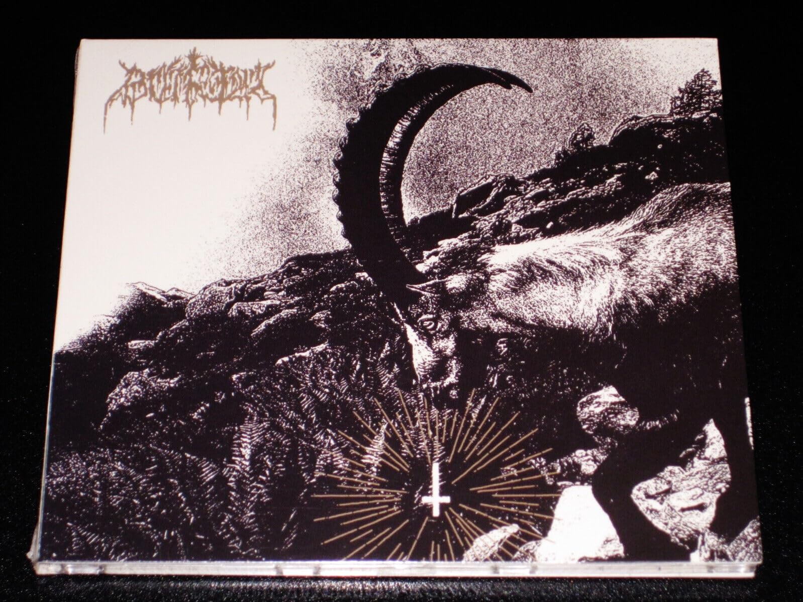 REJOICE IN SIN (LTD.DIGI)
