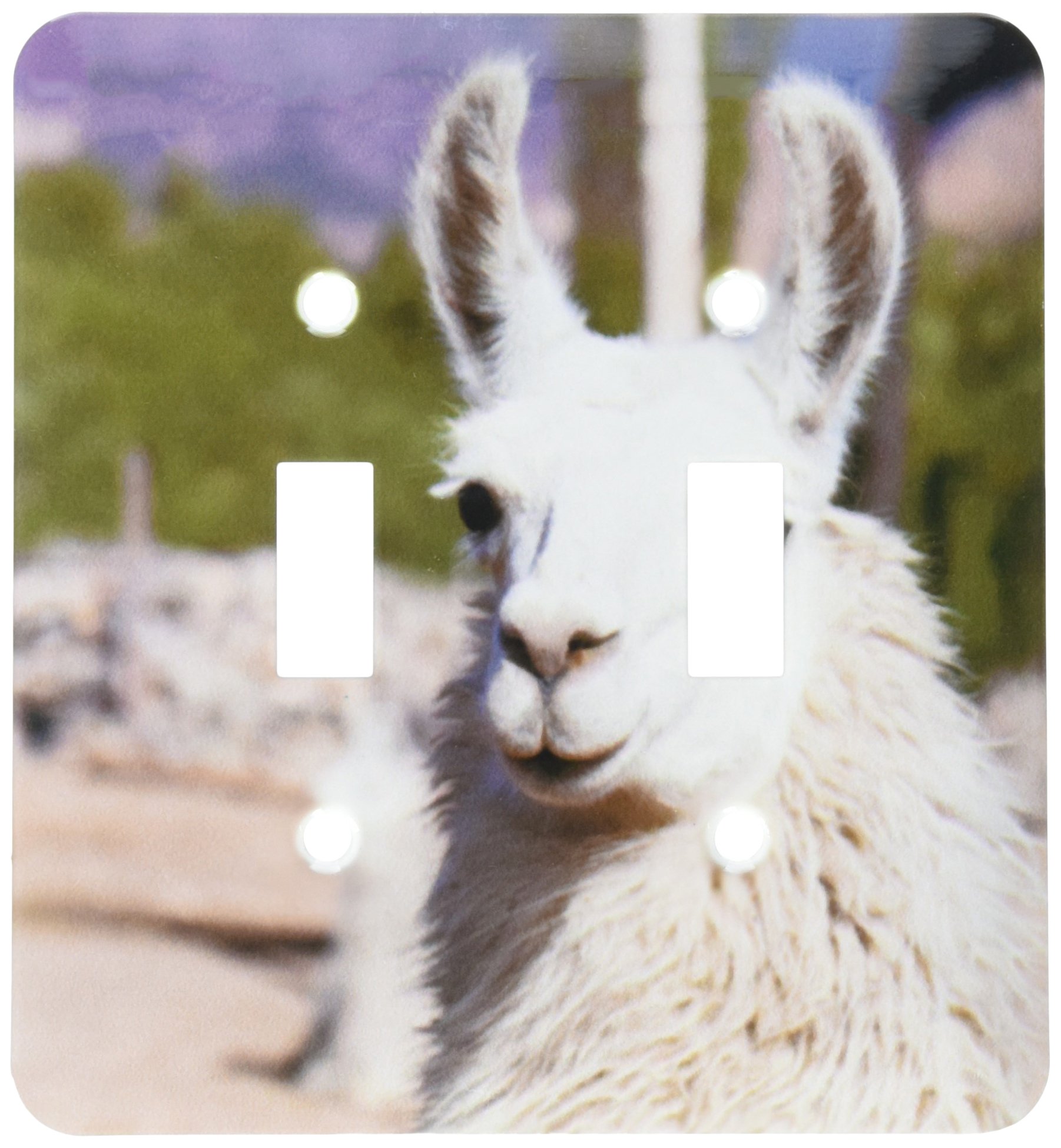 Interrupteur double lamas de Jujuy pour sublimer la décoration murale de votre salon