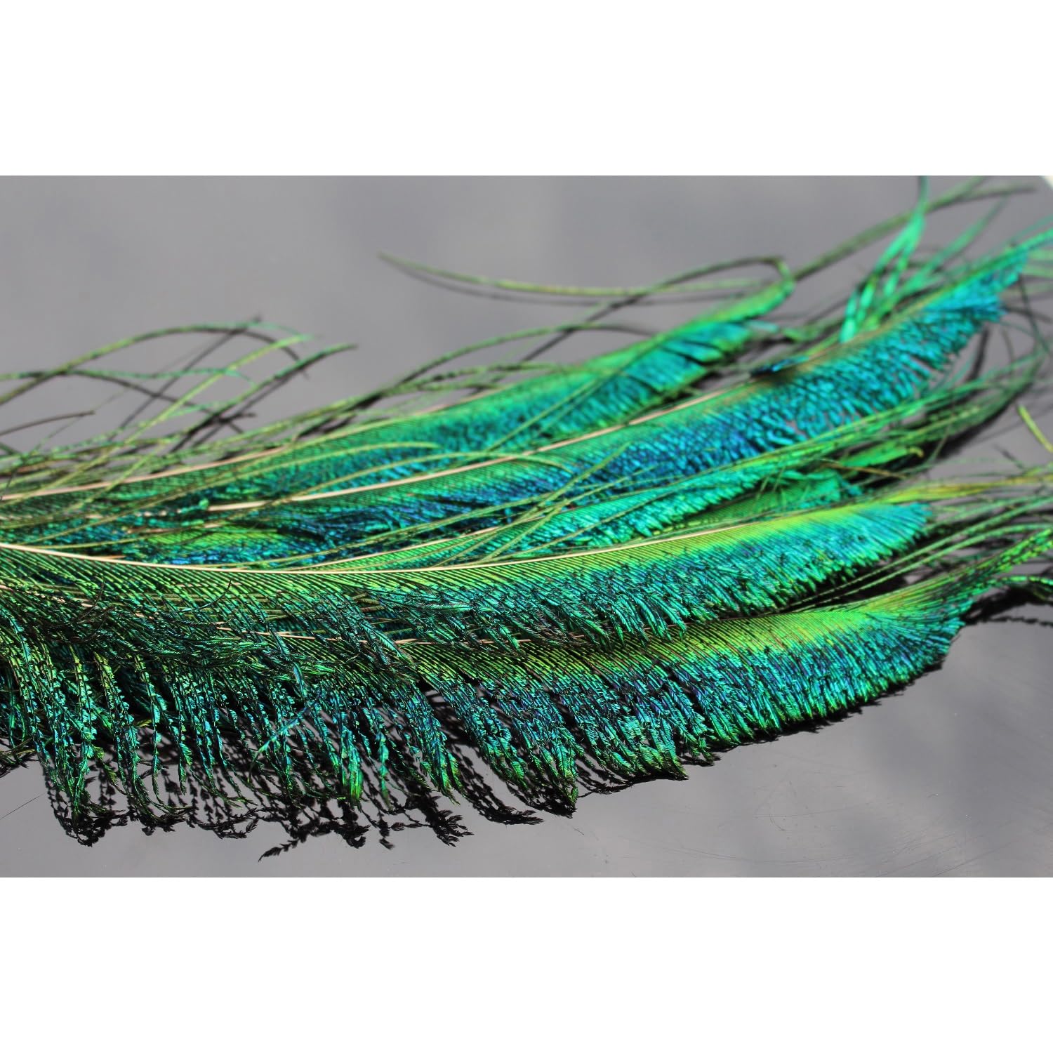 Tigofly Ensemble de plumes de paon pour nymphes mouches, mouches humides classiques