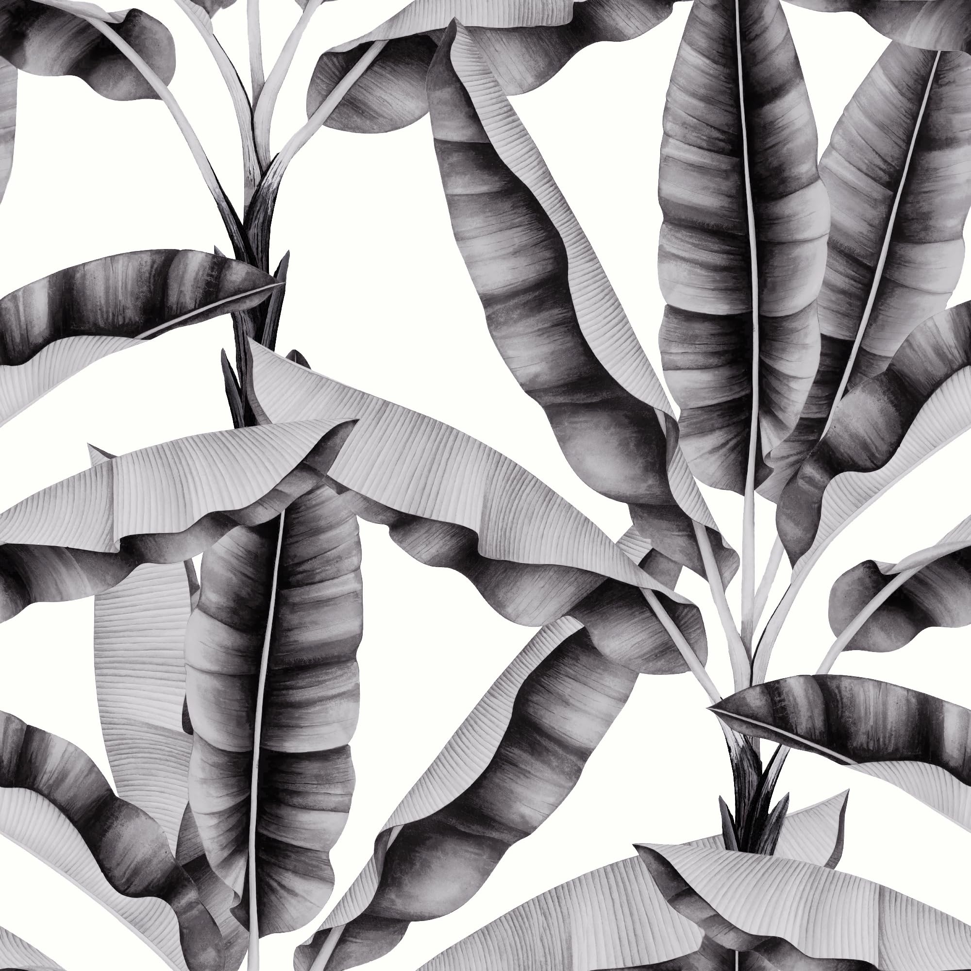 Papier peint haut de gamme Arthouse Musa Mono 924400 design minimaliste
