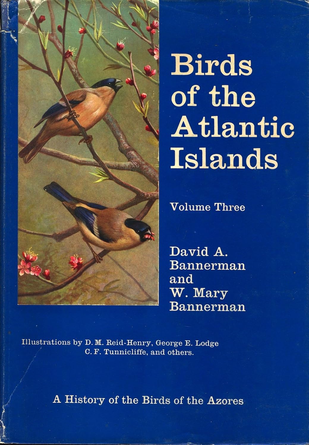The Birds of the Atlantic Islands Volume 3 Bannerman, David A