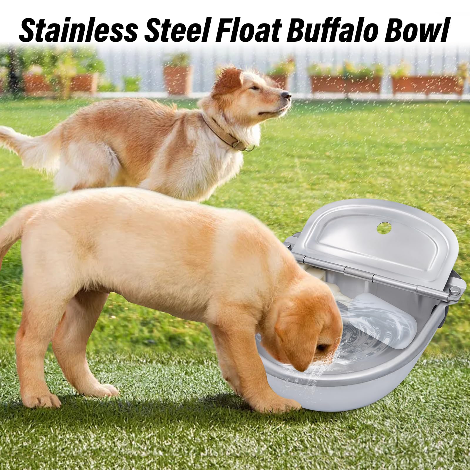 Abreuvoir Automatique pour Animaux De Compagnie, Gamelle Eau Chien en Acier Inoxydable, Pipe À Eau De 80 Cm, Vanne À Flotteur 1/2", pour Poules Chat Cheval Chevre