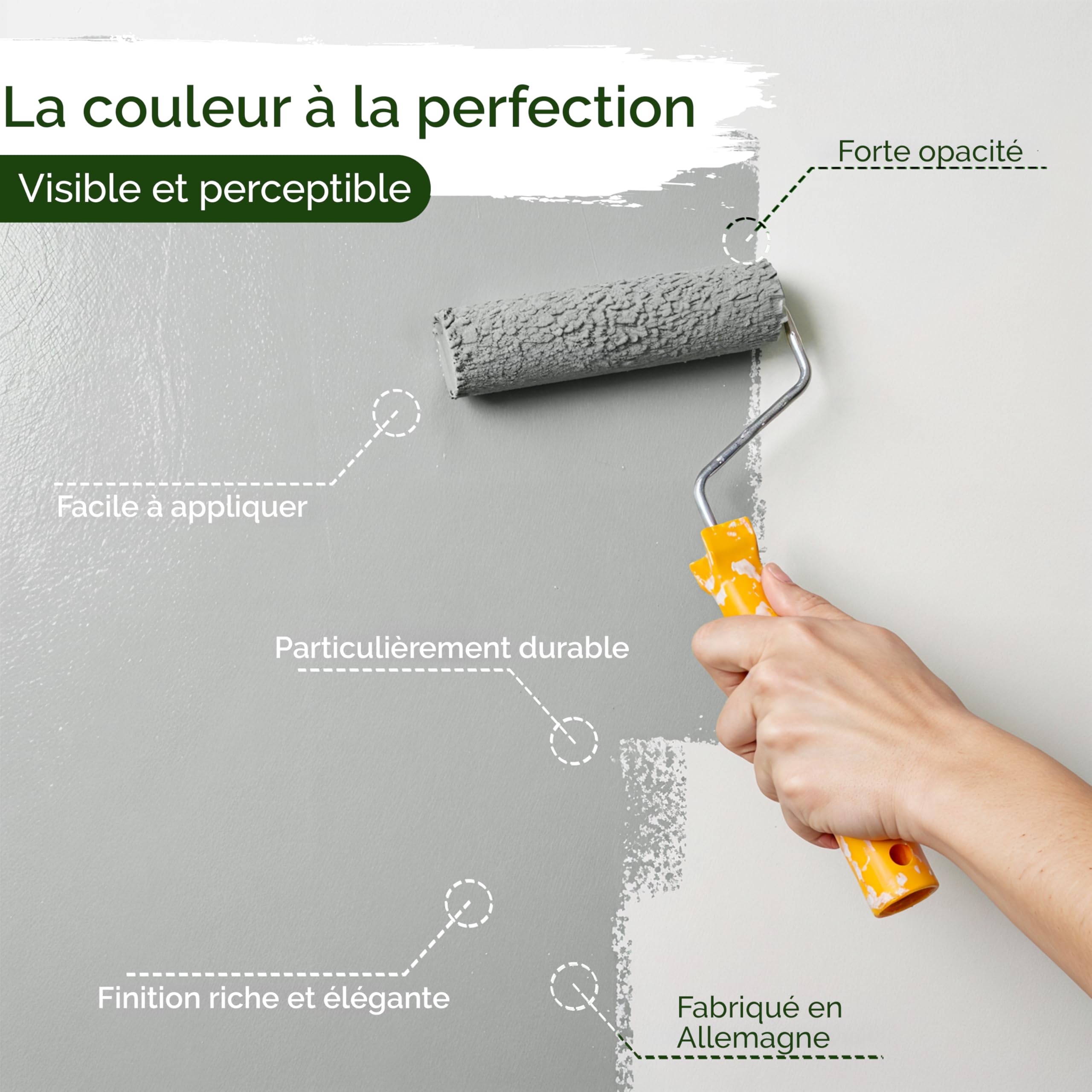 Peinture murale grise pour intérieur – 5 litres & classe de pouvoir couvrant 1, sans traces, peu de gouttes & peinture écologique, sans COV – (Shady Spice)