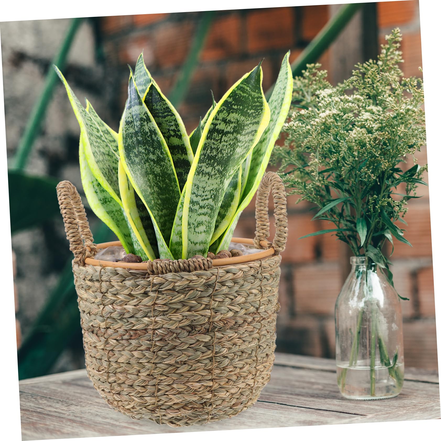 MAGICLULU Cestini Decorativi Per Piante Cestino Portaoggetti in Paglia Intrecciata Piccolo Manico Decorazione Multiuso Per La Casa