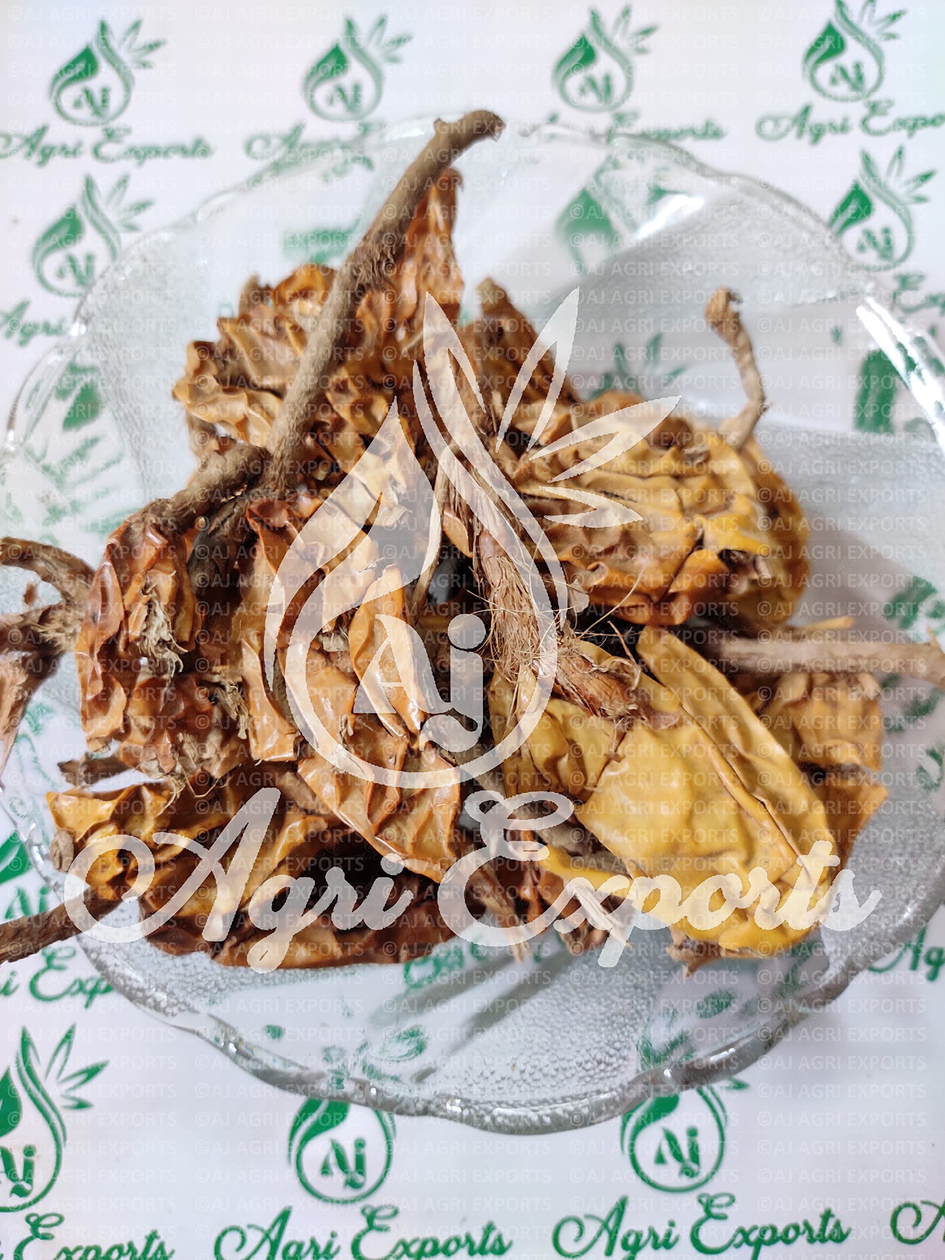 AJ AGRI EXPORTS Jivanti - Paalai Kodi - Jiwanti - Leptadenia Reticulata - Cork Swallow Wort - Jumka - Meethi Dodi - जीवन्ति (100 Grams) - Image 3 thumbnail