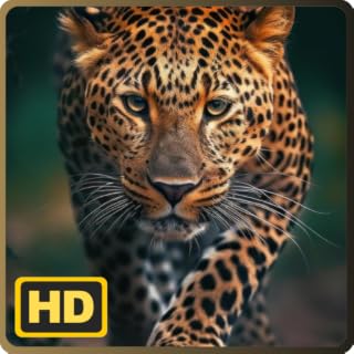 Restful Nature Animals TV Sleep Noise Serenade for Fire TV