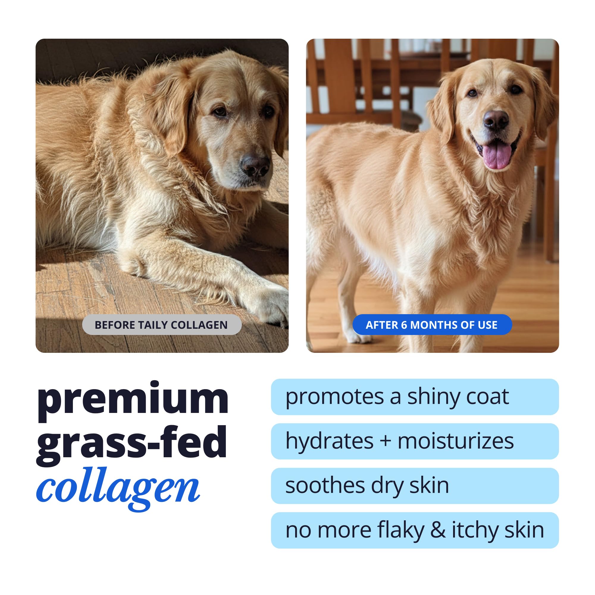 Haut- und Fellergänzung für Hunde, Katzen | Taily Flüssiges Kollagen für Hunde | Juckreizlinderung für Hunde mit Allergien, mit Grasfutter Kollagen, Biotin, Vitamin C und Hyaluronsäure | Hergestellt