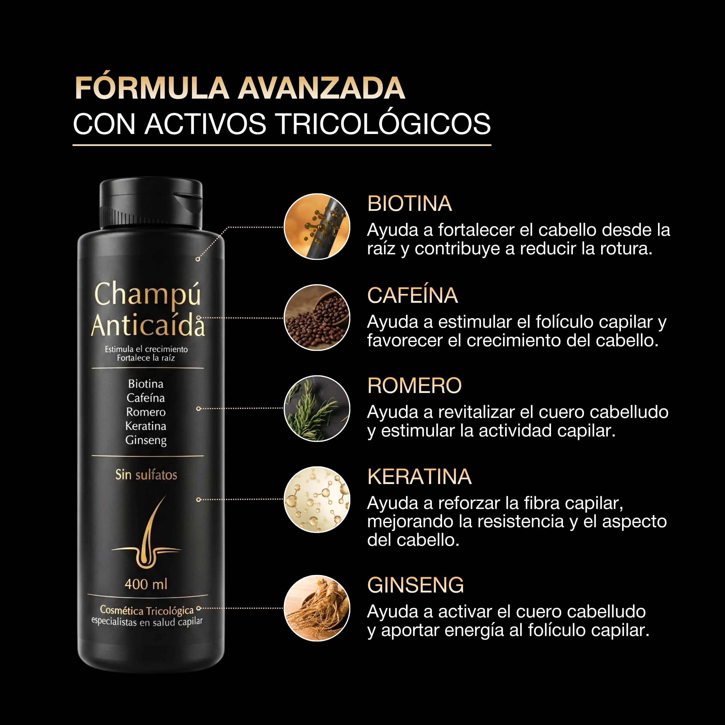 Champu Anticaida Hombre y Mujer 400ml | Formula Completa de Champu Cafeina + Biotina + Ginseng + Vitaminas Para el Pelo | Estimula el Crecimiento, Fortalece la Raíz | Sin Sulfatos | Uso Diario — view 3