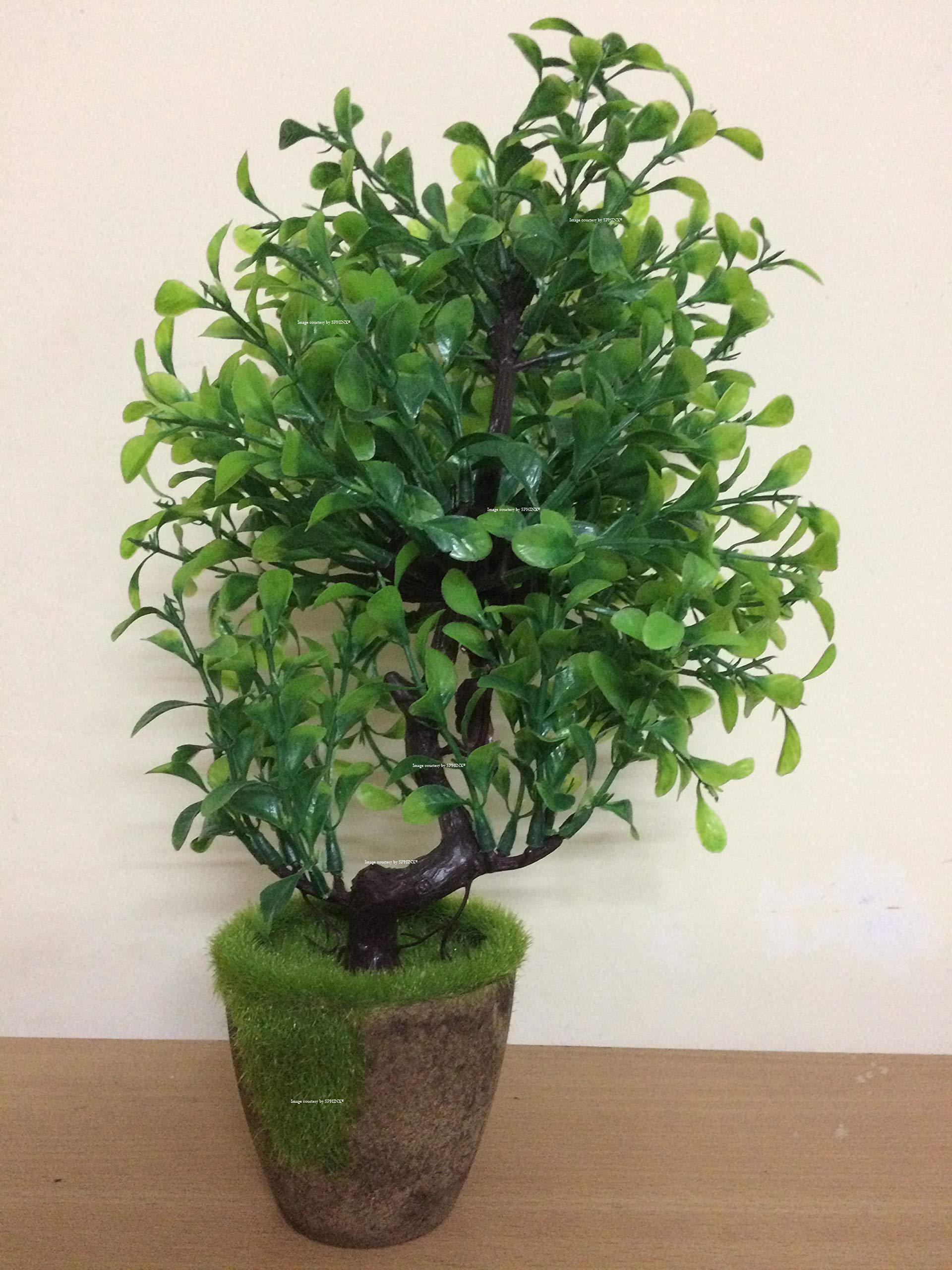 SPHINX Artificial Bonsai Tree with Wooden Grassy Pot - 1 piece ( 35 x 30 x 10 cms) (1)