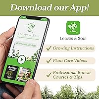 Vista 6 de Tierra para Plantas de Interior de Higuera de Hoja de Violín Mezcla Premium Multiusos Grande 2.2 Cuartos Lista para Usar en Plantas