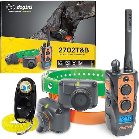 dogtra 2502