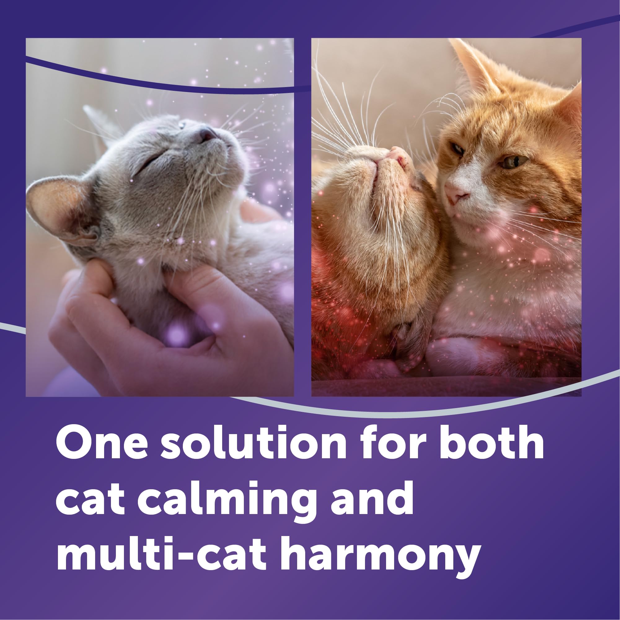 FELIWAY Optimum Cat, Enhanced Calming Pheromone Diffuser: 1 Diffuser Kit & 3 Refills - image 2