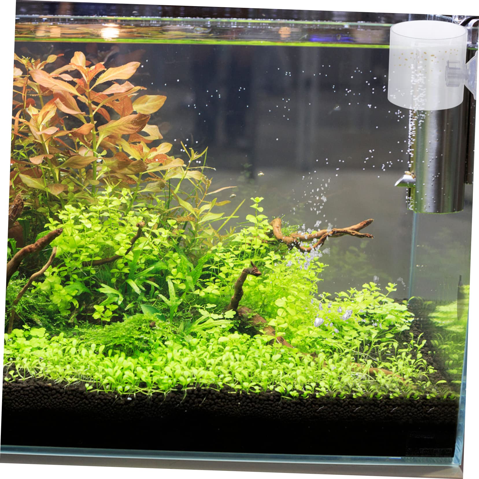 Happyyami 9stücke Fischfutterring Für Aquarien Schwimmende Futterstation Mit Saugnäpfen Für Tropische Fische Futterverschwendung Und Wasserverunreinigung Und Transparent