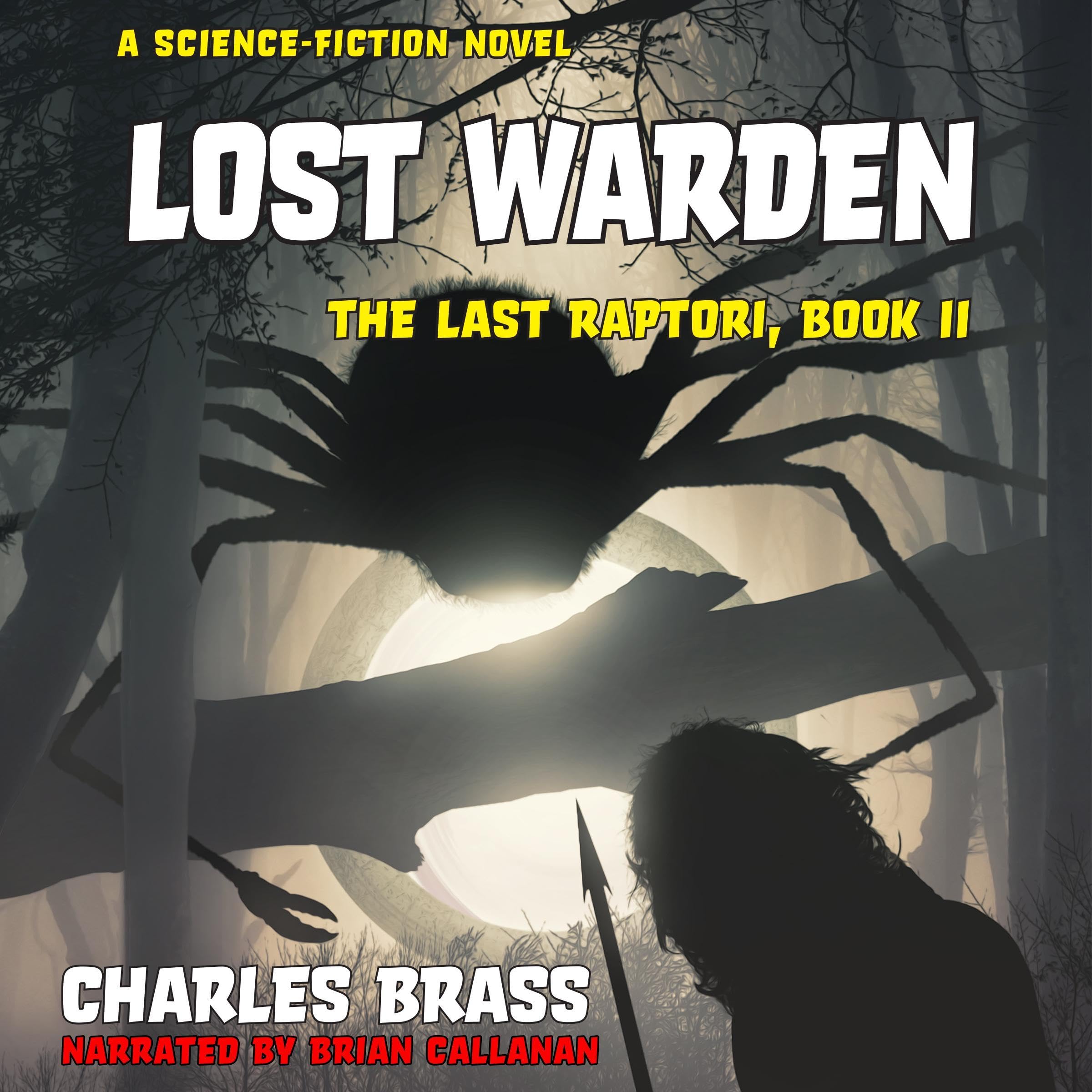 Cover art for Lost Warden