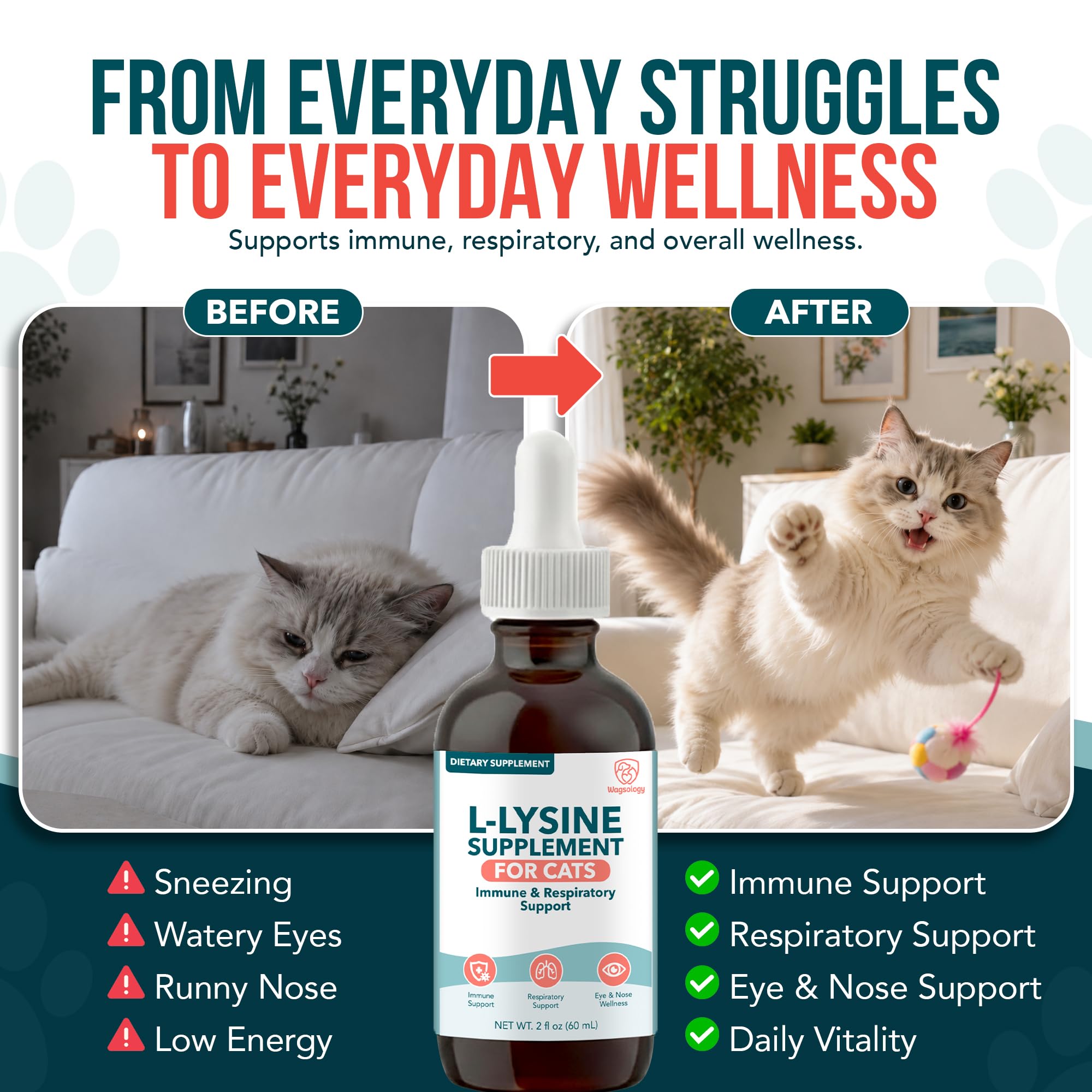 L-Lysine for Cats & Kittens, Cat Lysine Supplement & Cat Allergy Relief for Cats, Immune Support, Respiratory Health, Eye & Nose Wellness, L Lysine Cats Drops, Chicken Flavor (60 ml) — Amazon image 7