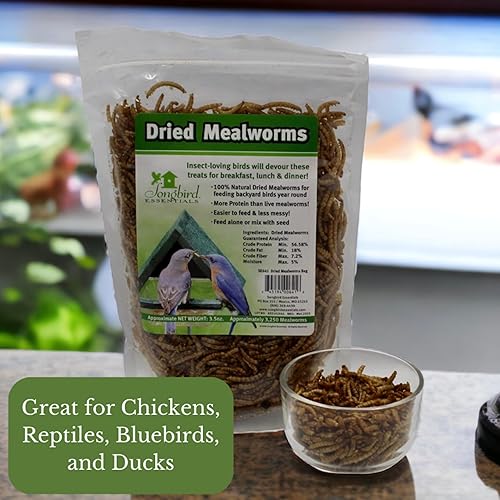 Miniatura 3 de Songbird Essentials Gusanos secos de harina para aves silvestres, pollos y reptiles, alimento para aves silvestres para comederos de aves, comederos
