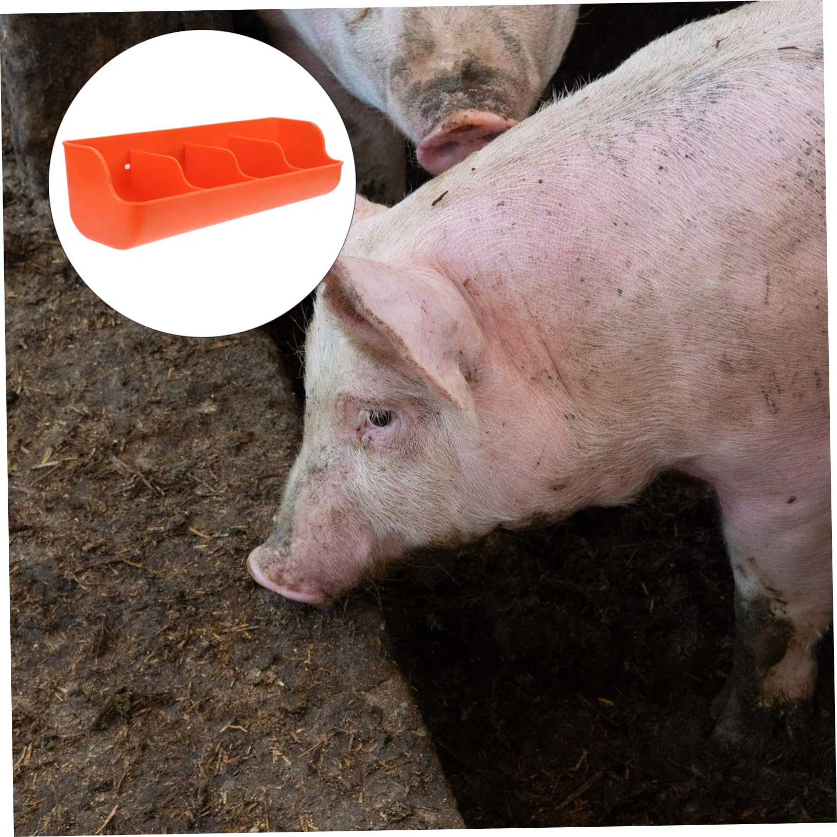 Mangiatoia in Plastica per Suini 4 Compartimenti Resistente Agli Urti, Adatta per Maiali, Realizzata in Pp per Allevamenti Suini Stile Casuale