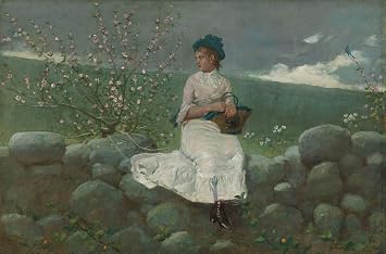 Get Custom Art Winslow Homer - Peach Blossoms, Poster Art Print Modern Wall Decor - 16x24 Inches