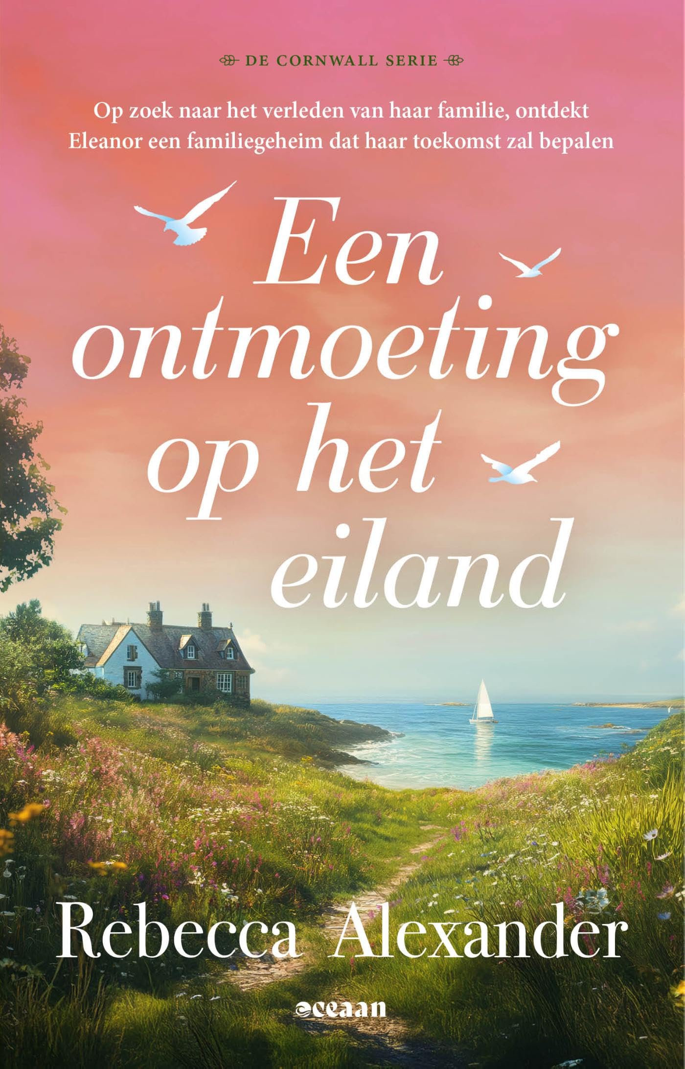 Een ontmoeting op het eiland: Op zoek naar het verleden van haar familie, ontdekt Eleanor een familiegeheim dat haar toekomst zal (De Cornwall serie, 3)