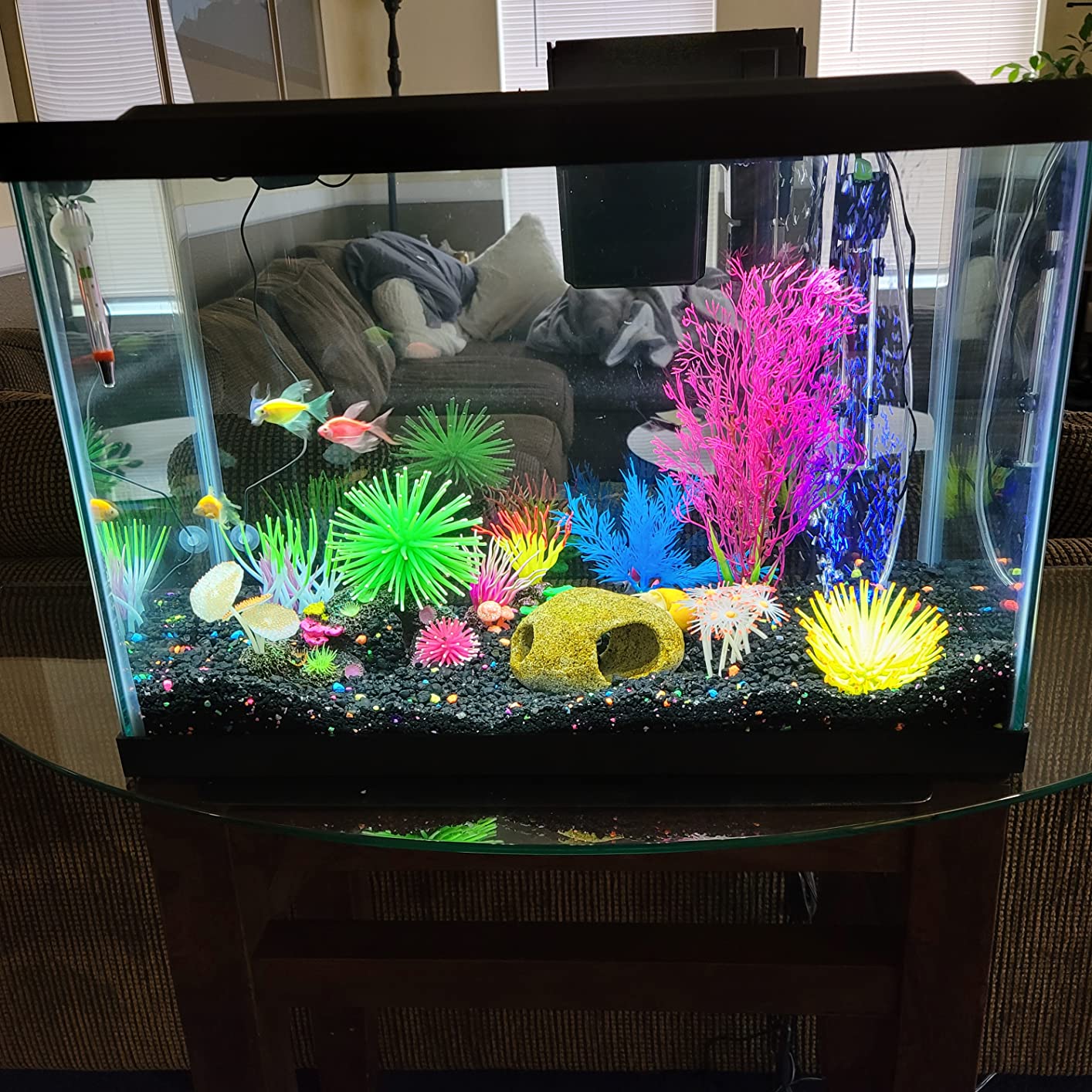 21/mo Finance Tetra Aquarium 20 Gallon Fish Tank Kit, Includes LED