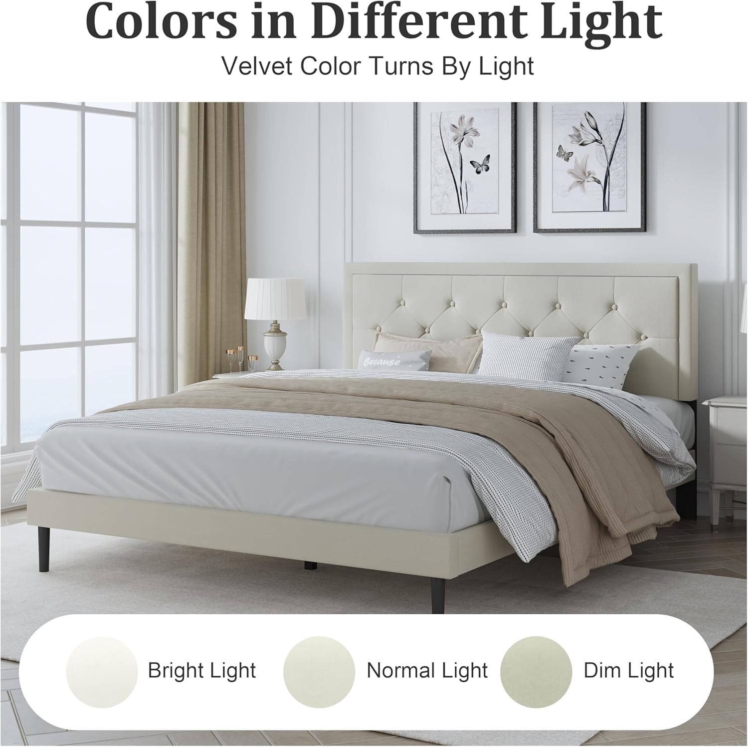 https://m.media-amazon.com/images/I/81OlM8p9iFL._AC_SL1500_.jpg