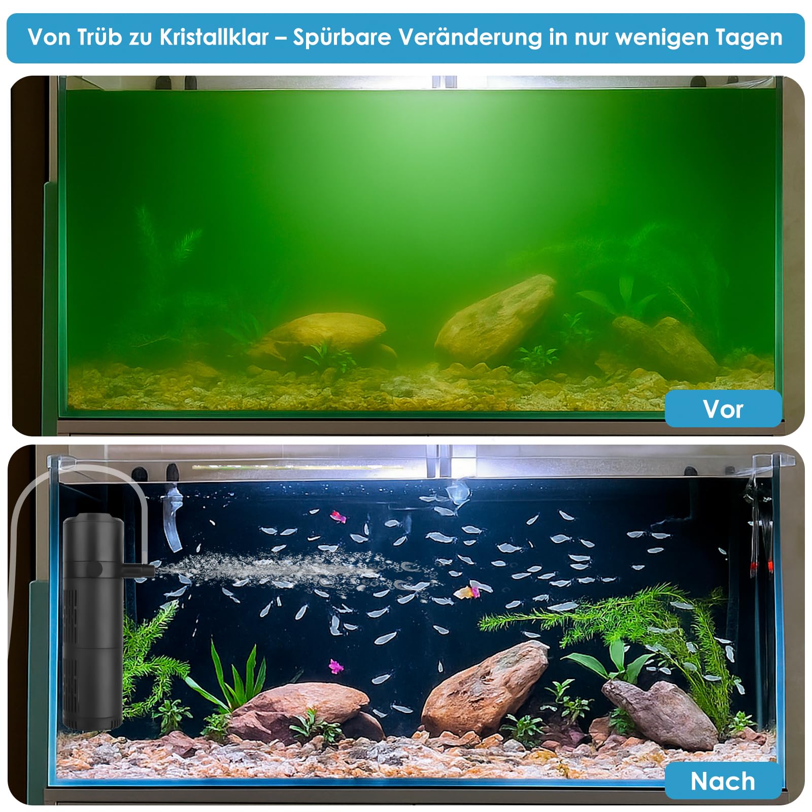 Aquarium Innenfilter mit UV-Sterilisator & Timer, 5-in-1 Filterpumpe mit Belüftung & Regendusche, 800 L/H, Geräuscharm, für Süß- & Meerwasser, passend für 80–267L Aquarien