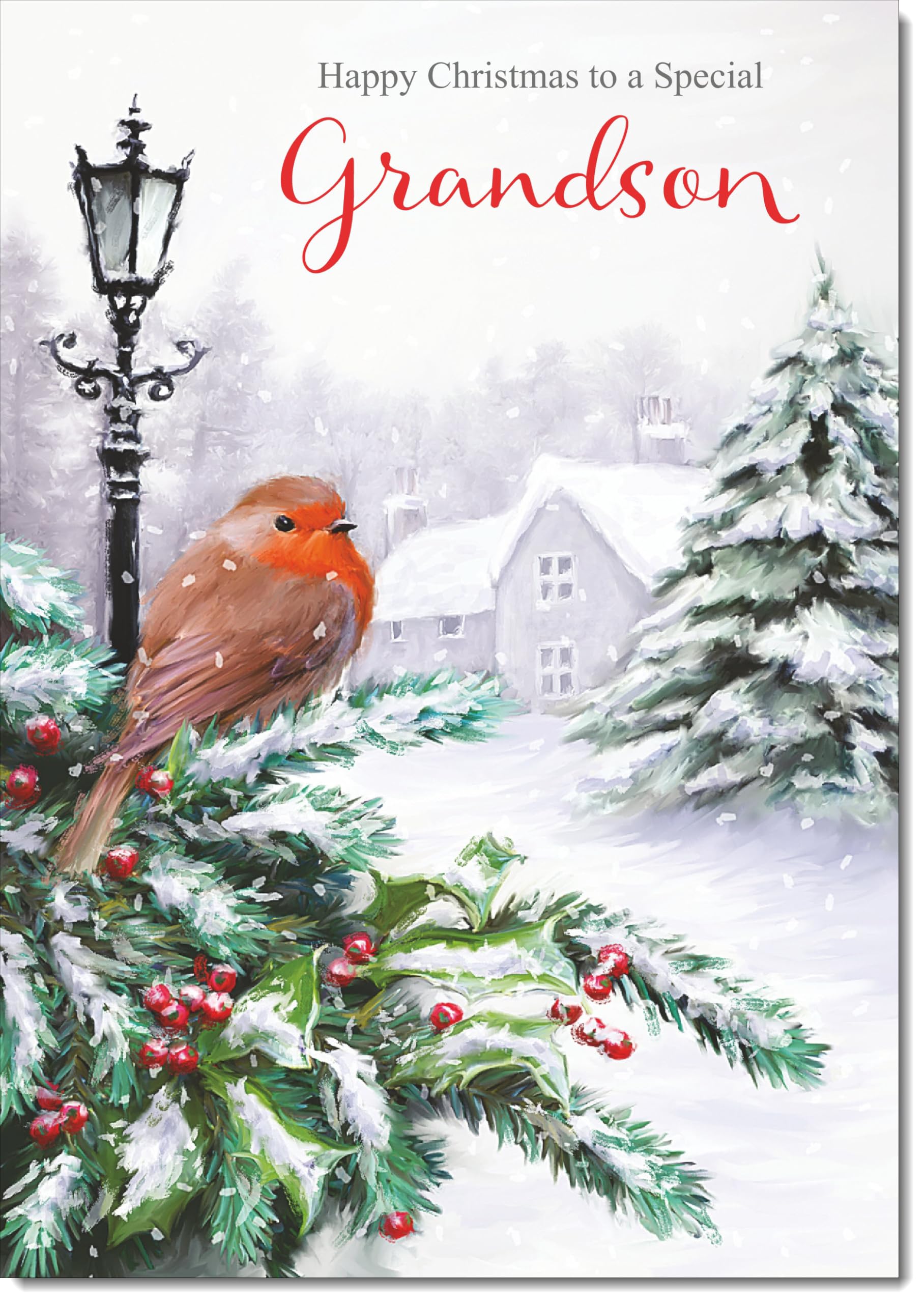 doodlecards Grandson Christmas Card Robin by Lamp Large A4 Size Christmas Card for Grandson with Plain Envelope