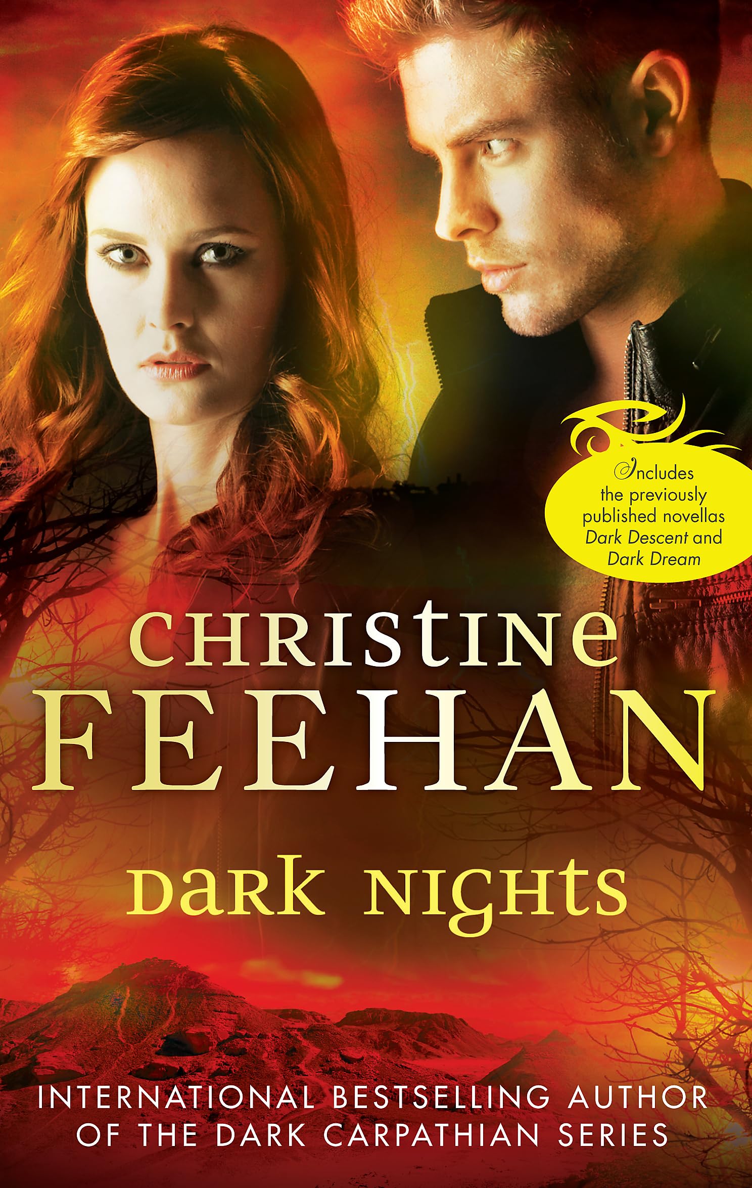 Dark Nights,Christine Feehan