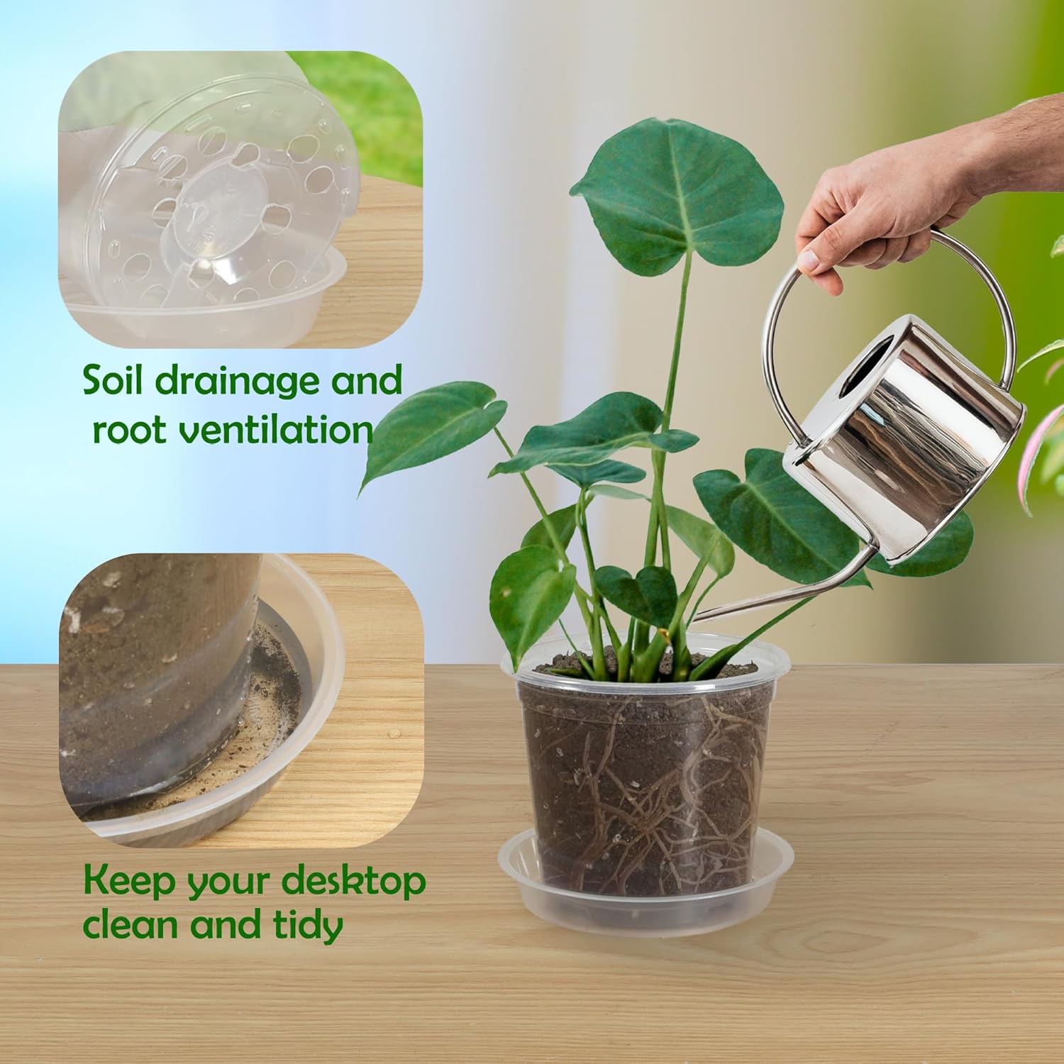 30 Pack 3/4/5/6/7 Inch Clear Nursery Pots with Drainage and 30 Pack Plant Saucers, Plant Pots for Plants Transparent Potting Containers for Plants Seeding Starter Pot (Clear, 3/4/5/6/7 Inch)