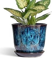 SUNPOTFOR 5.6 Inch Blue Ceramic Plant Pot with Drainage Hole & Saucer - Succulent Orchid Indoor Outdoor Planter Home Decor Gift