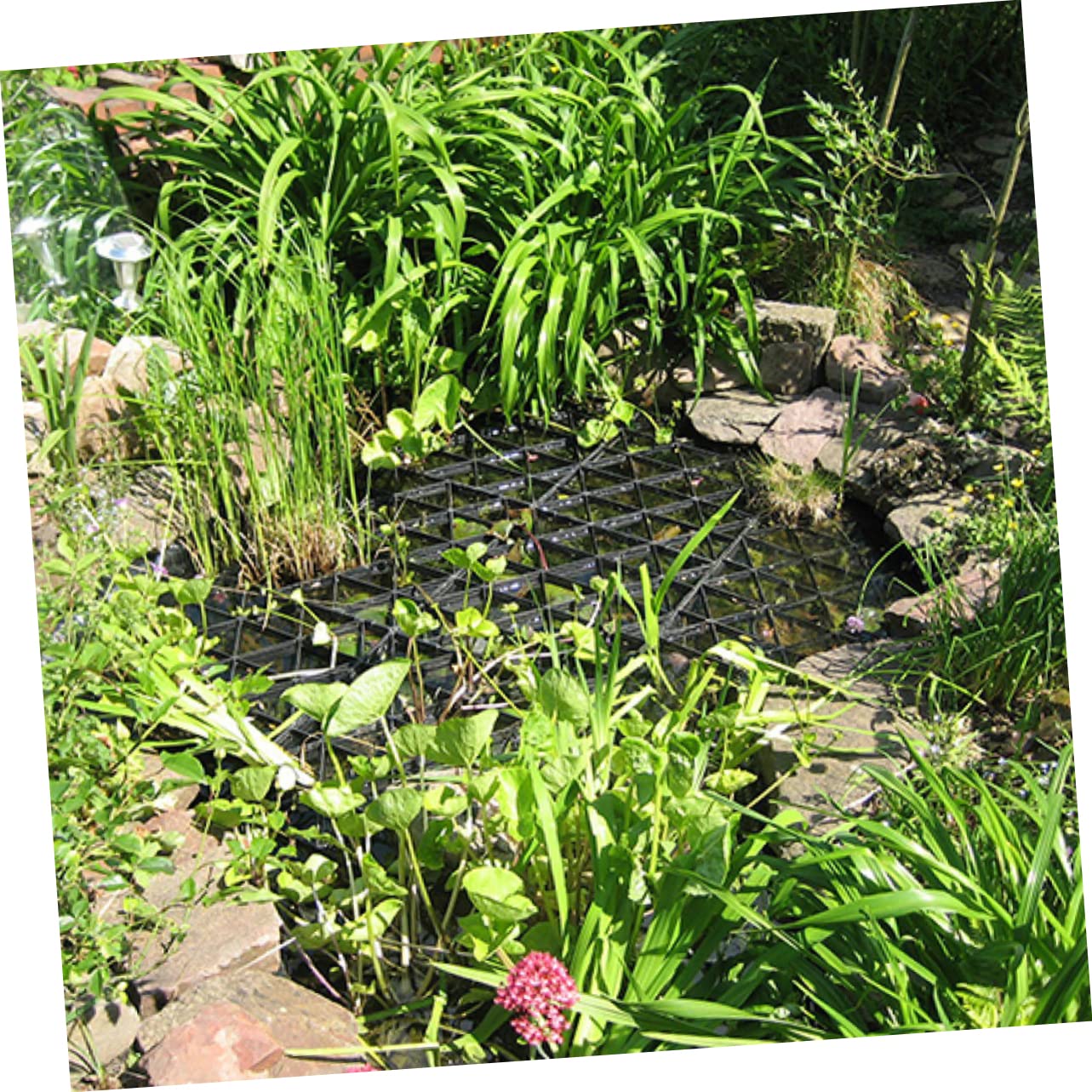 Mikikit Red Protectora de Estanques para Peces de Malla PP Negra Diseño Hexagonal, Mantiene Seguros los Peces y Evita Aves en Estanques Exteriores