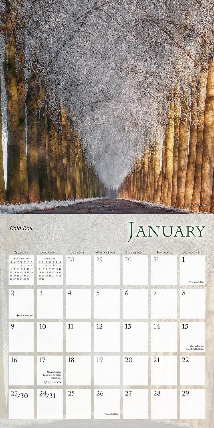 SELLERS PUBLISHING, INC. Enchanted Pathways 2022 Wall Calendar 16Month