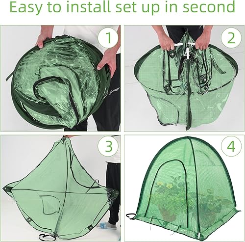 Miniatura 4 de Invernadero desplegable mejorado para plantas, cubierta duradera de PE, configuración rápida portátil con puertas enrollables, verde