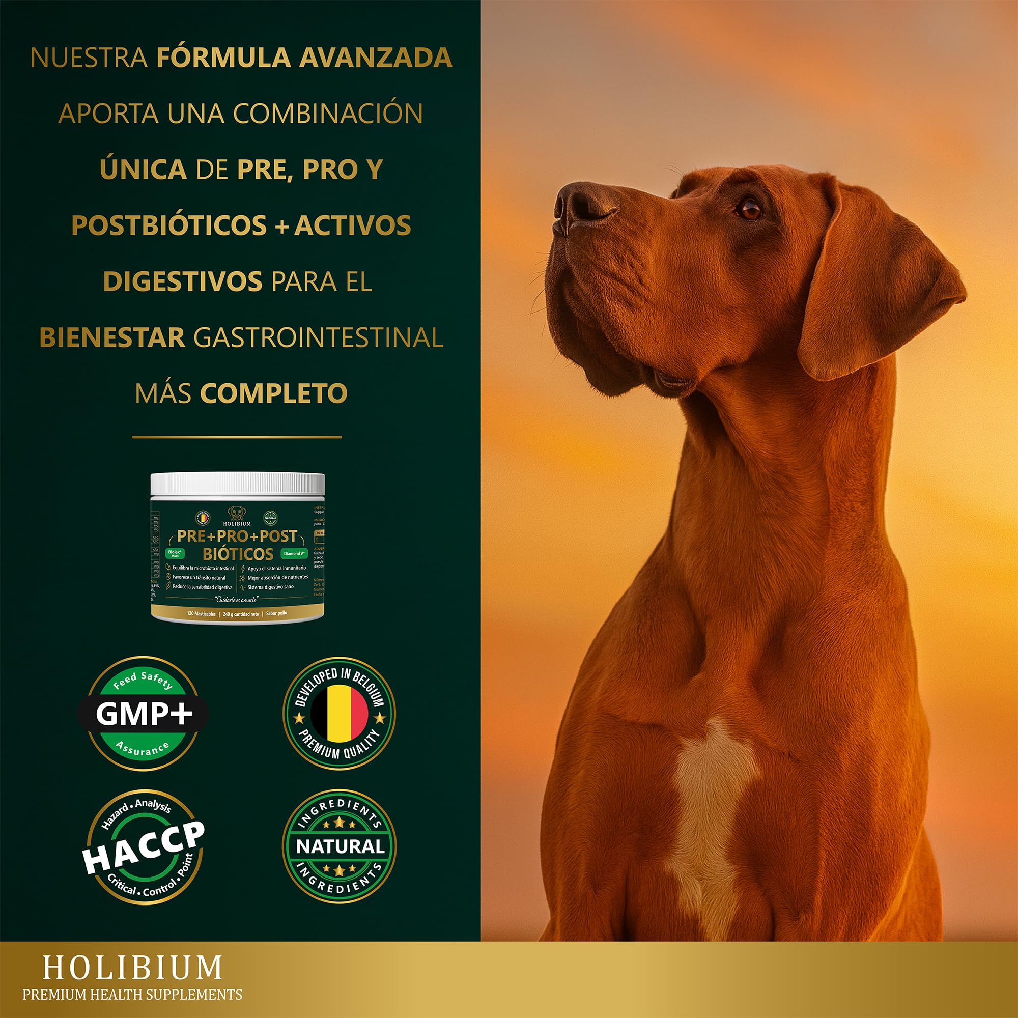 HOLIBIUM Probioticos Perros, 120 uds, Prebióticos, Postbióticos y Probióticos Naturales, Mejora Digestión, Diarrea y Heces Blandas, Suplemento Digestivo Canino para la Flora Intestinal, Sabor Pollo - 3