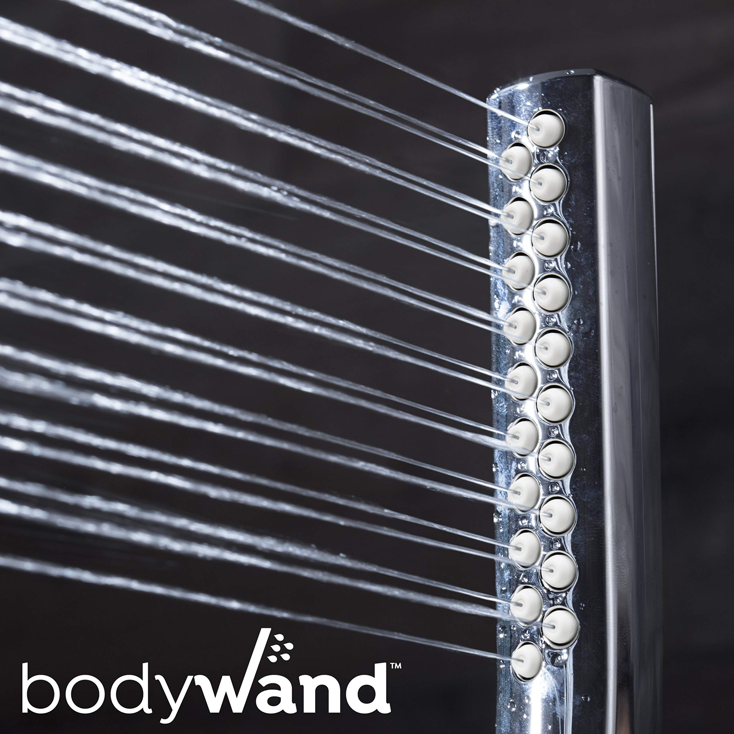 Waterpik High Pressure Handheld Wand and Rain Shower Head Combo with 8