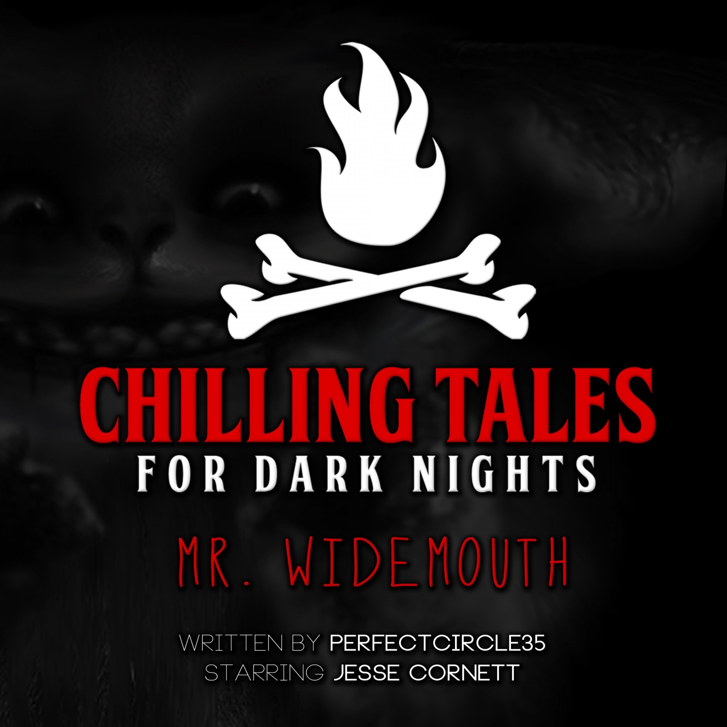 Cover art for Mr. Widemouth (Chilling Tales for Dark Nights)