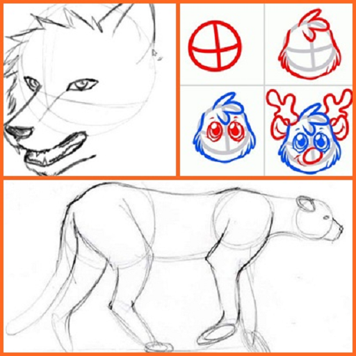 Animal Drawing Tutorial - App on Amazon Appstore