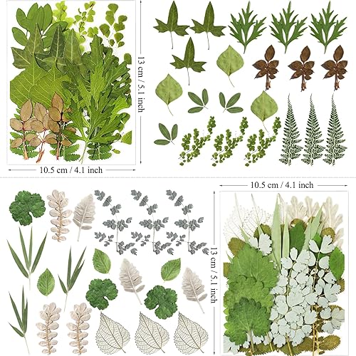 Miniatura 6 de 84 hojas secas prensadas para moldes de resina, surtido de flores secas naturales a granel para manualidades de arte, joyas epoxi, velas,