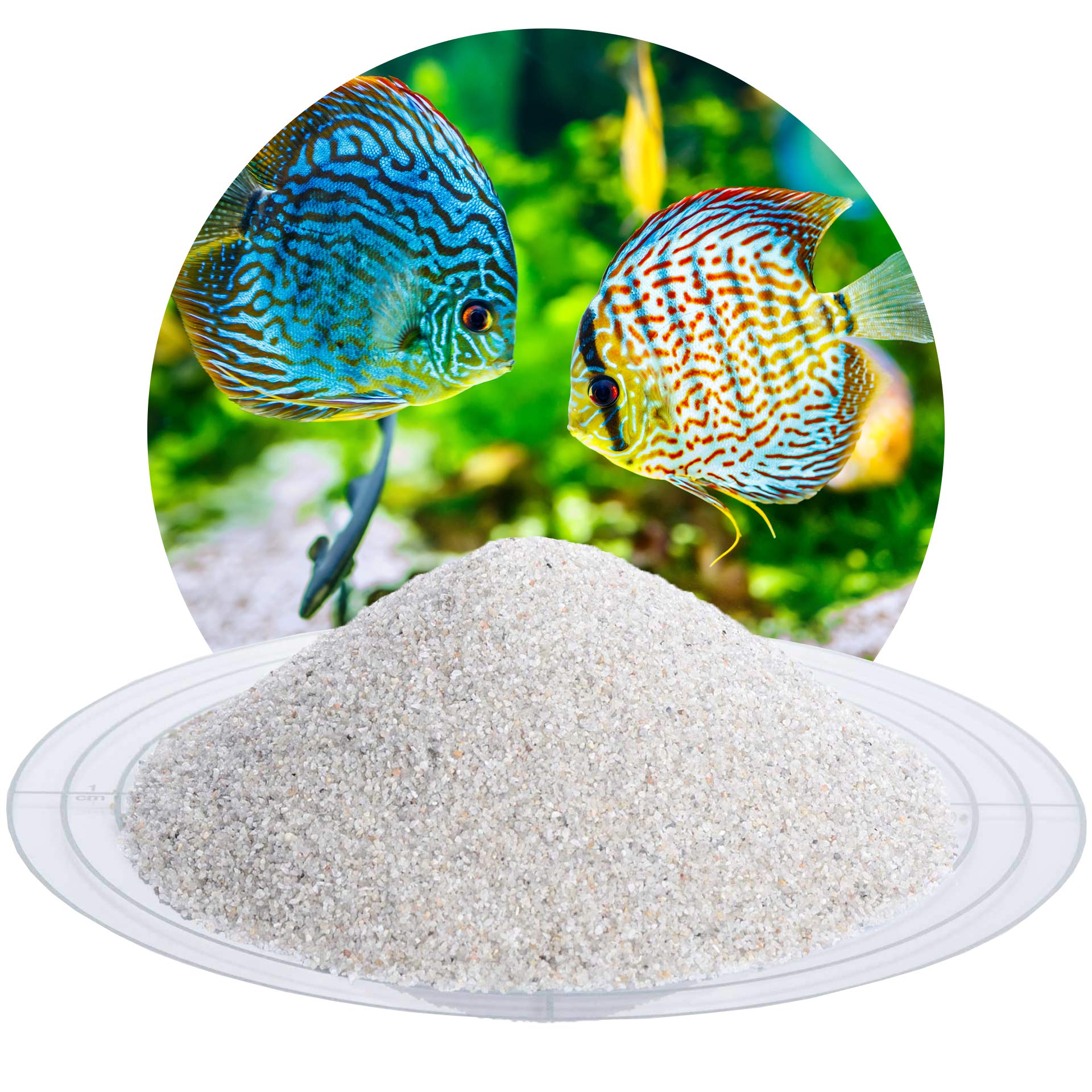 Schicker Mineral Aquariumsand Natur 25 kg, feiner Aquariumkies gewaschen, ungefärbt, kantengerundeter Bodengrund, Kies für Süßwasseraquarien, Meerwasseraquarien, Aquascaping (0,4-0,8 mm)