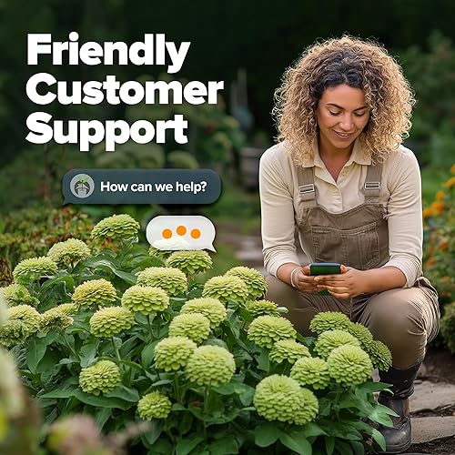 Miniatura 48 de HOME GROWN Más de 1000 semillas de cilantro para plantar en interiores o exteriores, hierbas tradicionales sin OMG, semillas de plantas de cilantro