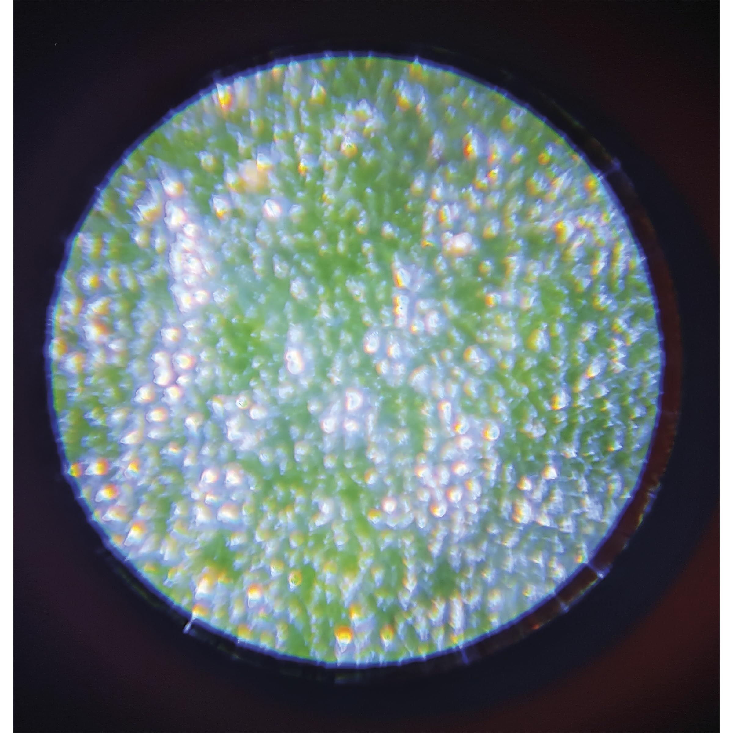Janod - Microscopio Tascabile Nomade per Bambini - Ingrandimento 50x-250x + Supporto in Legno - Concepito per Scoprire la Natura e Il Giardino - dai 3 Anni