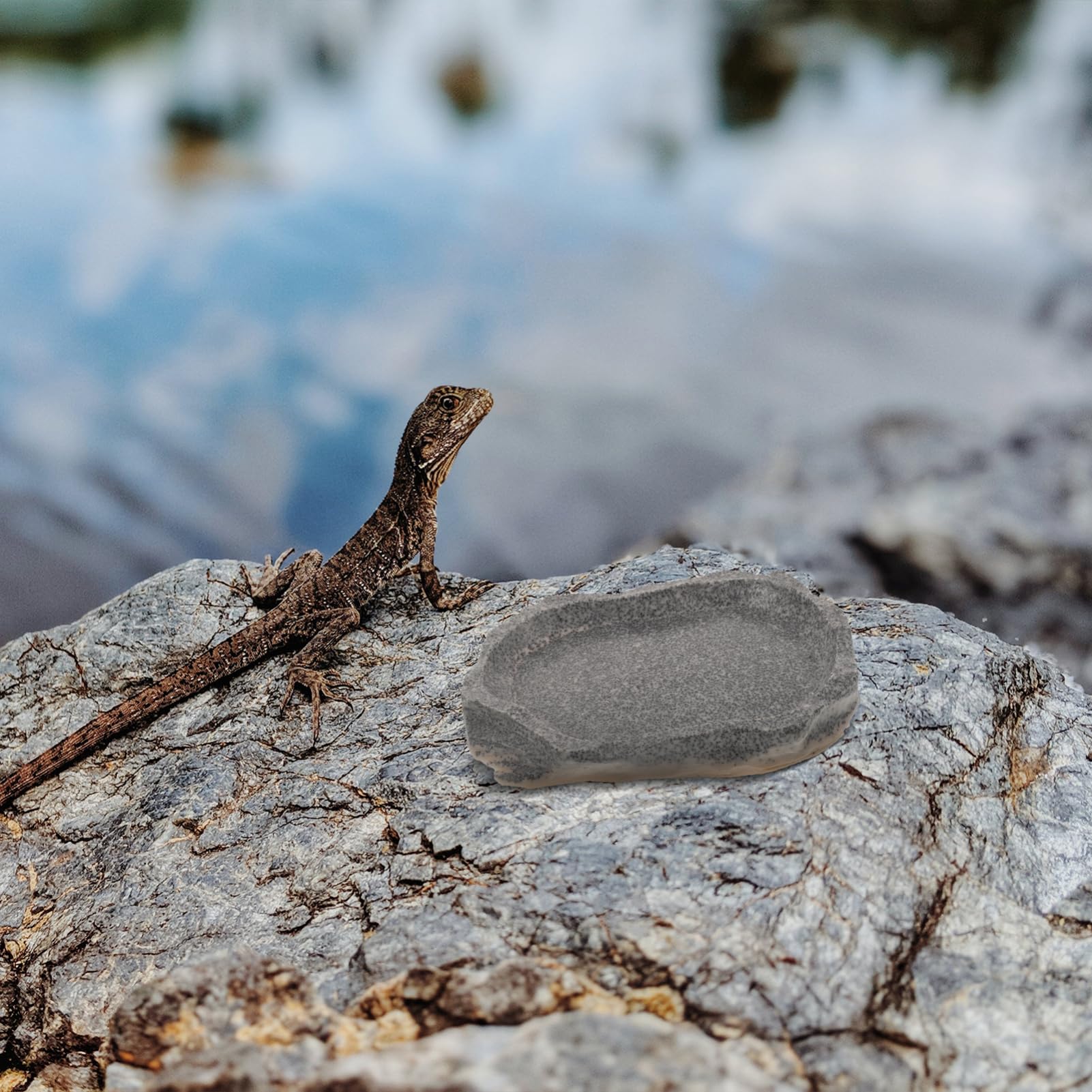VANZACK 4piezas Tazón De Resina para Reptiles Comedero y Bebedero Diseño De Roca para Terrarios y Acuarios Fácil De Limpiar Resistente Derrames para Alimentos y Agua De Mascotas