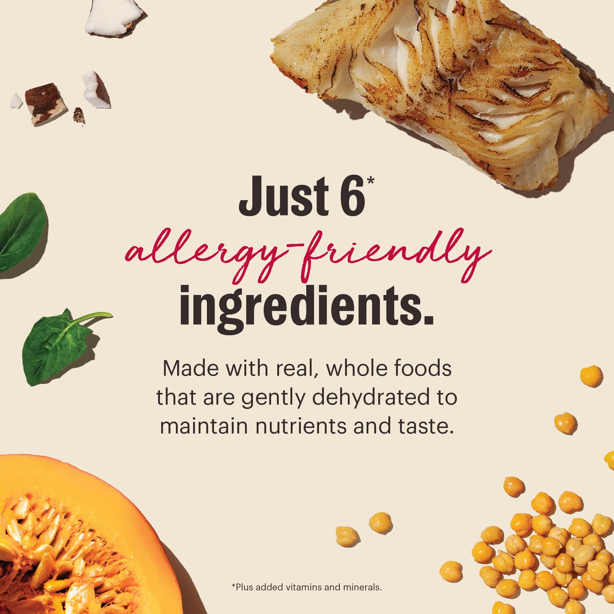 The Honest Kitchen Comida deshidratada para perros con ingredientes limitados - Comida completa o relleno de comida para perros - Pescado de 4,5 kg (18,1 kg)