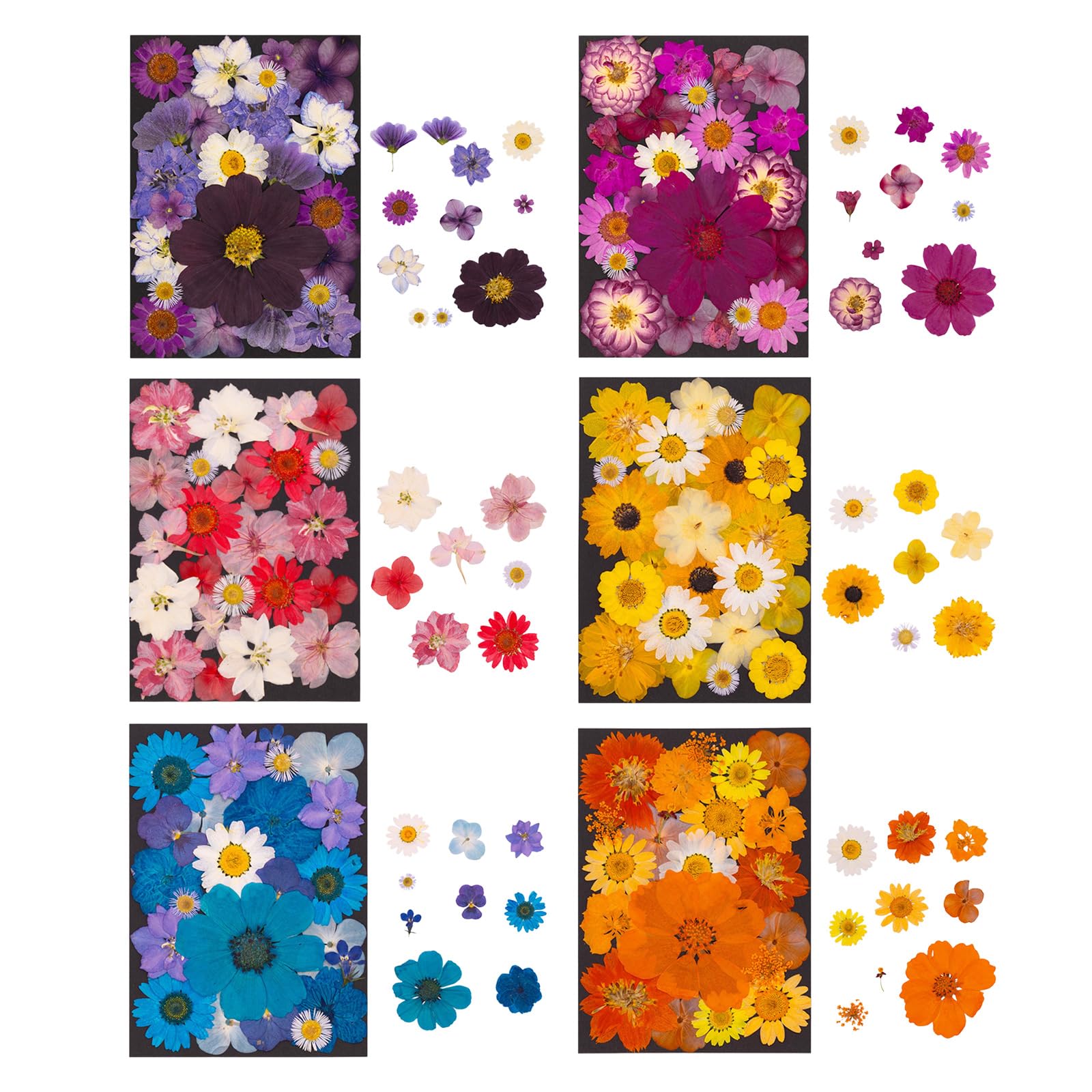 Fiori secchi Naturali per segnalibri, creazione Candele per Gioielli, Foglie pressate Naturali per lavori artistici Fatti a Mano per Arte in Resina