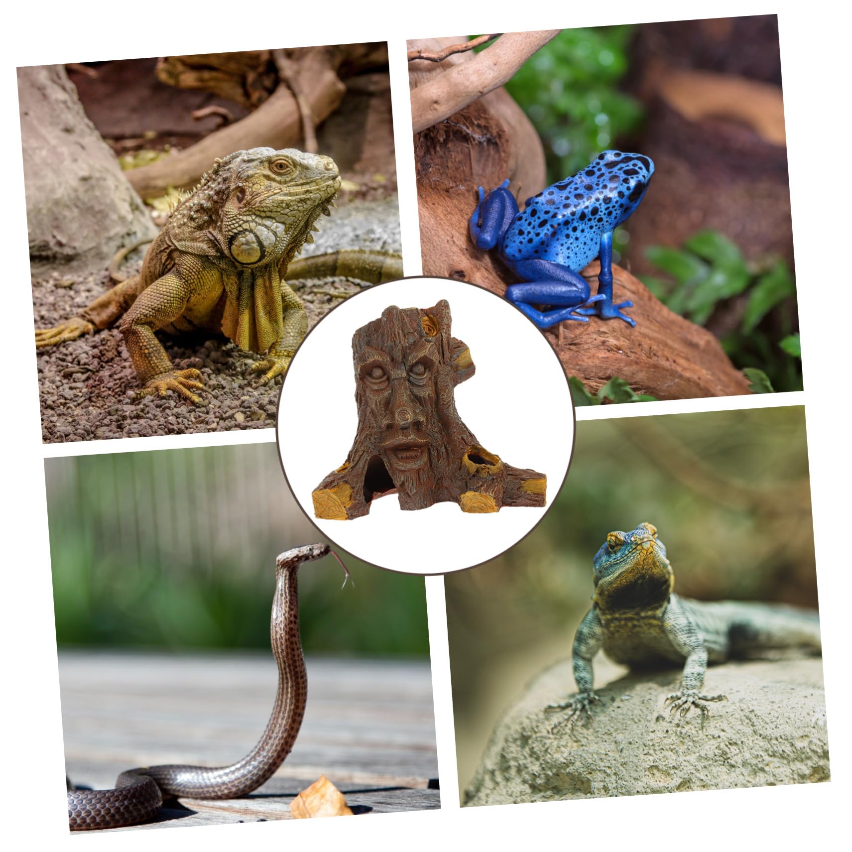 ERINGOGO Reptilien Versteck aus Kunstharz mit Baumhöhle Form Schmutzabweisend und Tageslicht als Zubehör für Terrarium und Reptilienboxen