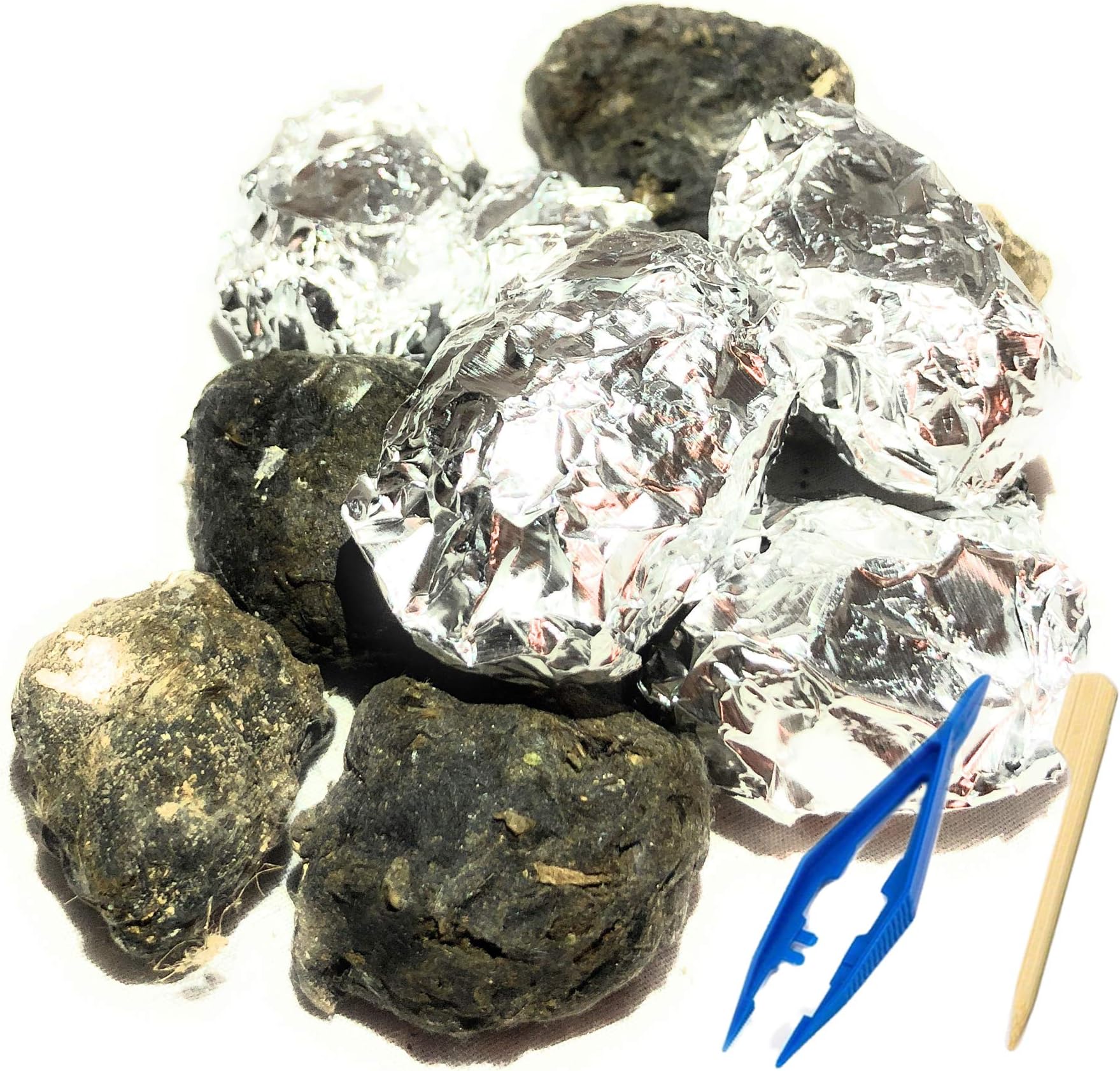 Premium Barn Owl Pellets, Small: 1.25"-1.5" (Pack of 20) - Free Bone Identification Chart, Forceps, Paddle Picks, and Teaching Guide Included!